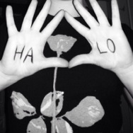 an image from  lottielugosi