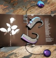 an image from  wendiwendy
