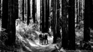Depeche Mode Wallpaper - Sounds Of The Universe