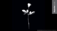 Depeche Mode Wallpaper - Violator