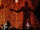 tour photo