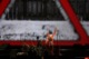 tour photo