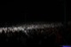 tour photo
