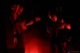 tour photo