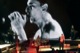 tour photo