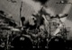 tour photo