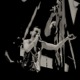 tour photo