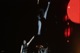 tour photo