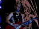 tour photo