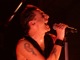 tour photo