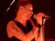 tour photo