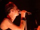 tour photo