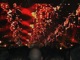 tour photo