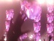 tour photo