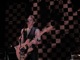 tour photo