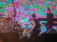 tour photo