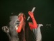 tour photo