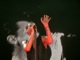 tour photo