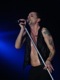 tour photo