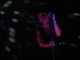tour photo