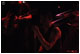 tour photo