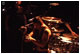 tour photo