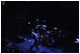 tour photo