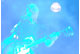 tour photo