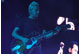 tour photo
