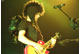 tour photo