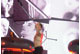 tour photo