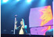tour photo
