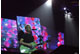 tour photo
