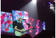 tour photo