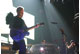 tour photo