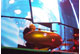 tour photo