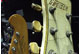 tour photo