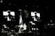 tour photo