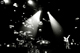 tour photo
