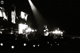 tour photo
