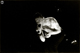 tour photo